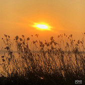 ��ϼ����ķ羰