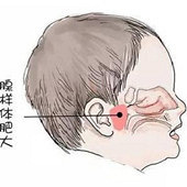 ������ʴ���ʲô����