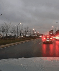 ǿ�б���������������������ţ�