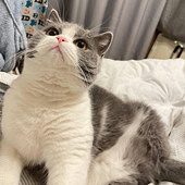 ����������ȡ��