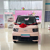 ����һ���綯С������