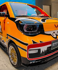 ������MINIEV�����޶�װ����ʽ���࣡