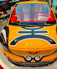 ������MINIEV�����޶�װ����ʽ���࣡