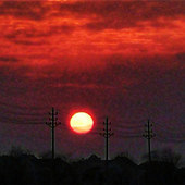 ���괺���һƬ��ϼ