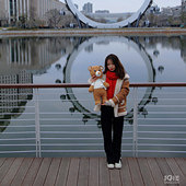 ����ɰ�������