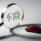 ����ĳ������Ż���