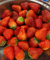 15Ԫһ����ڲ�ݮ�����ˣ�