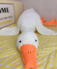 ϲ������A�� ��ϲ�����ֺ�һö ̫�ÿ�����