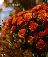 ���ʻ�Χ�ƵĲ��� �������ϰ����գ�