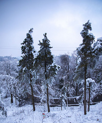 һ����ҲҪ��ȥ������������簡 �����ź�taһ�����ͷ