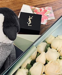 �ߵ�һ��ĵ�n�� �յ��˰�õ���YSL�Ŀں����