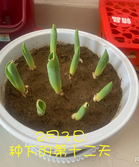 ��ʽ��ʮ�㣡Ϊ��֤�ֵ������������� ��ʱ��ʮ��