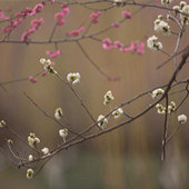 ������Ѱ��÷��