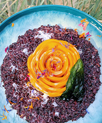 ������Nˢ����Ʒ �ж�óԣ�