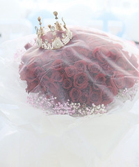 ����������������飡һ��ȥ����ר�����