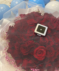 ����������������飡һ��ȥ����ר�����