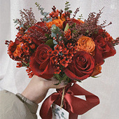 �������ɫϵ������