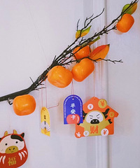 春节宅家装扮起来过新年 家里养了好多花