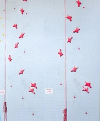 3ͨá24.9Ԫȫ첻޴49.9Ԫ