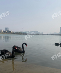 �����԰�����öడ