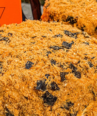 �б��𺳵����������С��plus�棡