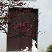 һ���������Ĺ���