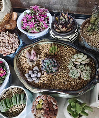 ������װ�α���Ҵ�����+���죡ɹɹ����Ļ���+�ҵ����⽭ɽ��