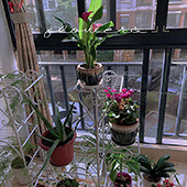 ��������Χ��С��