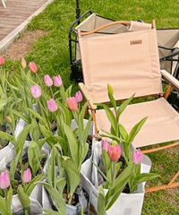 ���˵�һ�������㿪����500�伯�����ţ�