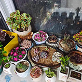 ���˶�����ҼҶ���