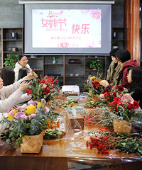 ����Ⱦ���� һ����δ��  ���м��˷��п�չ�����ˡ���Ů�ڲ廨�