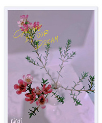 春天!花花世界生气勃勃 温暖治愈着我!