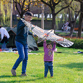 ������ȥ�ŷ���