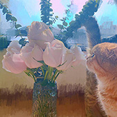 �Ѵ����ؼ�