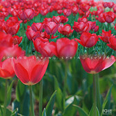 �����˶��ߵĻ�