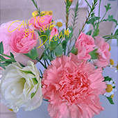 ������ĺ�����