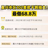 ��Ͷ���׷���������