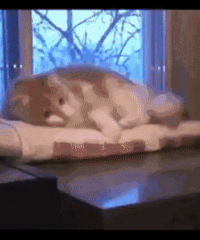 ��������ôһ�θ���֮�� ����������ȥ���� ���Ѿ���ȫû������