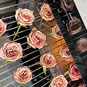 ���侹Ȼ���ܣ�