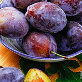 ��÷���α�����