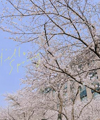 �򿨼���С��ӣ��ǽ ��ӣ����һ�ź��հɣ�