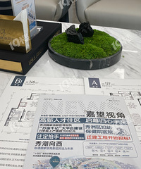 [����]����������Ź������������ˣ���