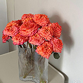 �����ֺÿ��Ļ���