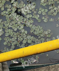 ������~������㶼������ ǰ���ããһƬ