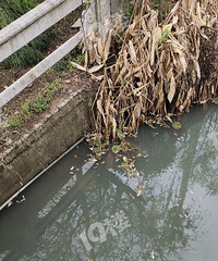 ������~������㶼������ ǰ���ããһƬ