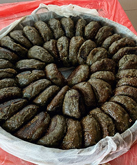 �ִ���Ŵ��������ɳ����ѿ����̫�Ҹ���