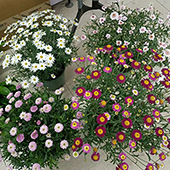 �û���������