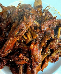 ����±ζ���� �п�Ѽ��Ѽצ������