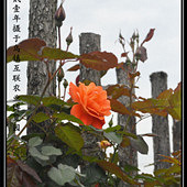 ���λ����ָ��