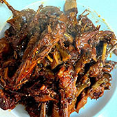 ���ƽ��±ζ